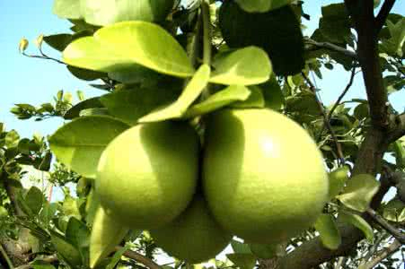 开云电竞app下载案例展示一