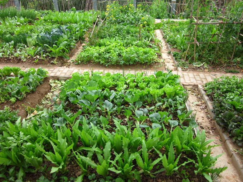 开云电竞app下载案例展示五